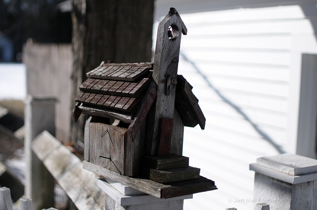 FEB_5869.JPG