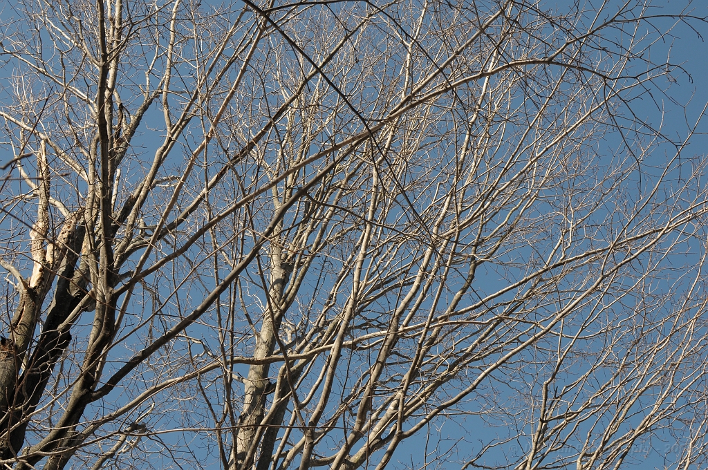FEB_5874.JPG