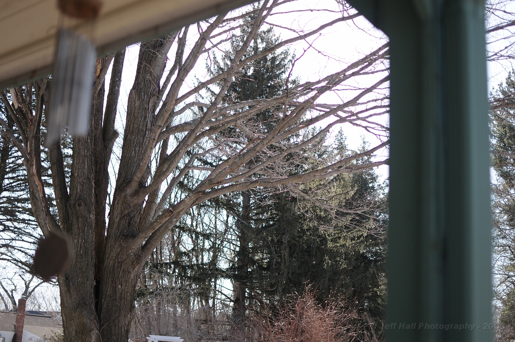 FEB_5876.JPG