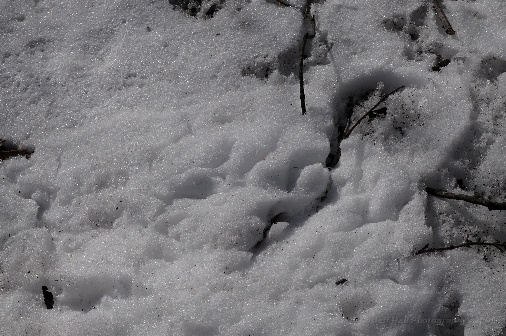 FEB_5886.JPG