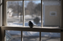 FEB_5864
