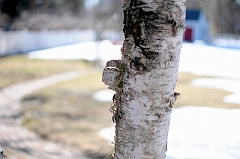 FEB_5871