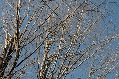 FEB_5874