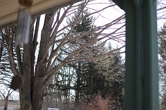 FEB_5876