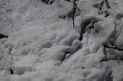 FEB_5886