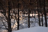 JLH_3577