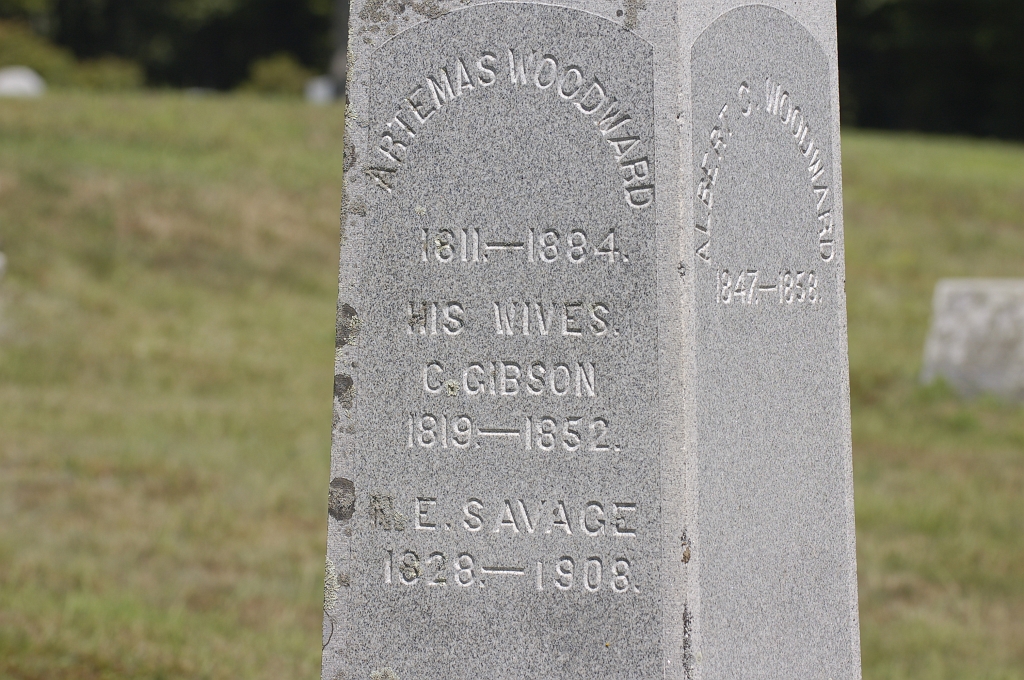 WoodwardLyndeborough/_DSC8864