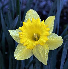APR_1873