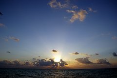 DSC_5356