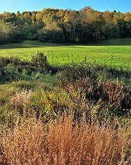 OCT_5395-CNX