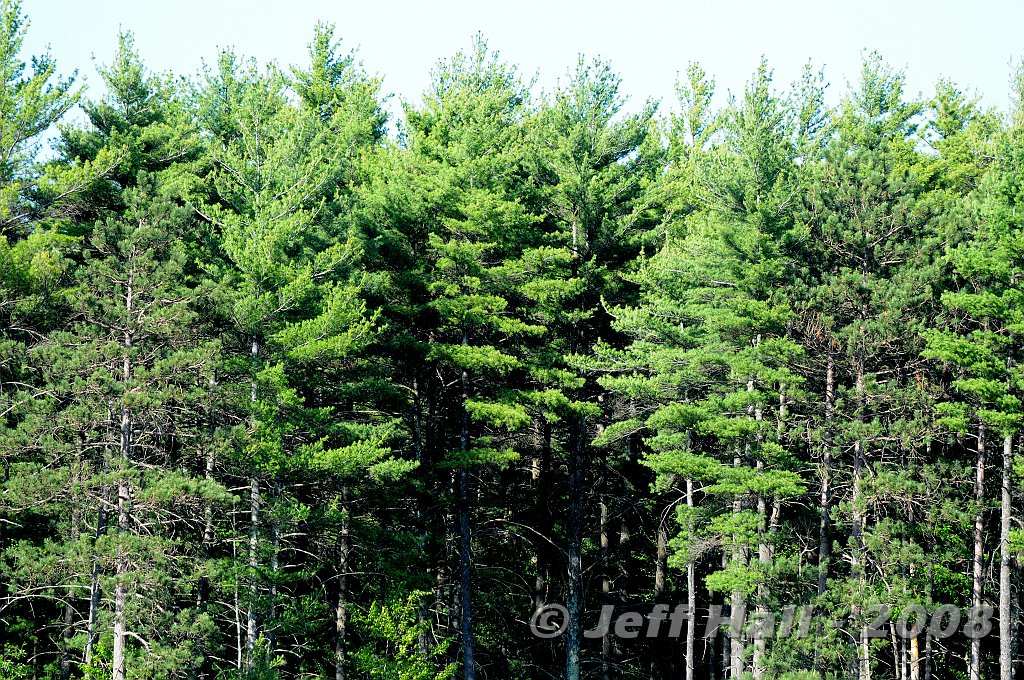JLH_3072.JPG
